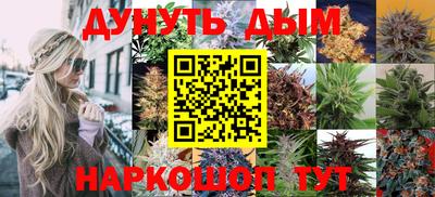 спиды Бийск