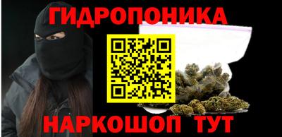 спиды Бийск