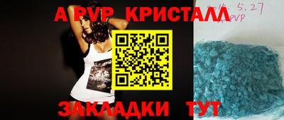 спиды Бийск