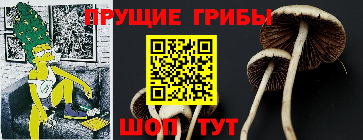 Ипатово  Галлюциногенные грибы Psilocybine cubensis  Псилоцибиновые грибы Cubensis  Вход с VPN 