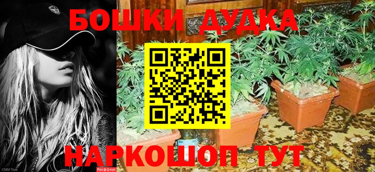 Марихуана White Widow  Канабис семена  Ипатово  Бошки Шишки план  Вход с VPN 